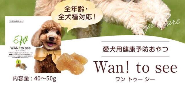 Wan！To see ワントゥーシー 特徴